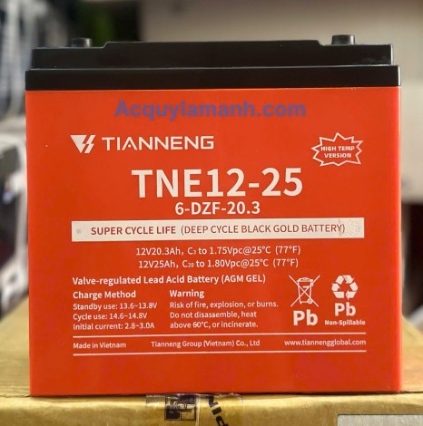 Ắc quy thiên năng TNE12-25 12V-25AH