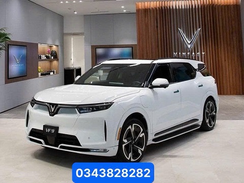 ắc quy vinfast vf9