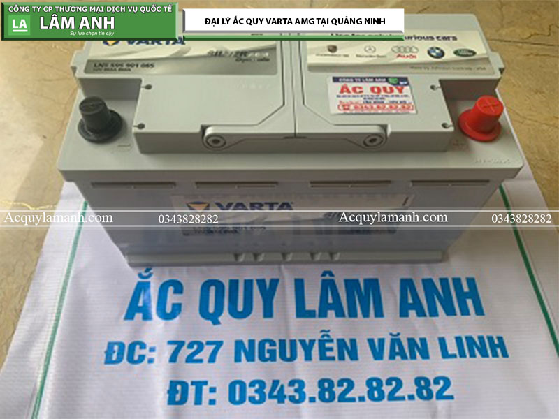 Ắc Quy Varta AGM 95 Ah LN5